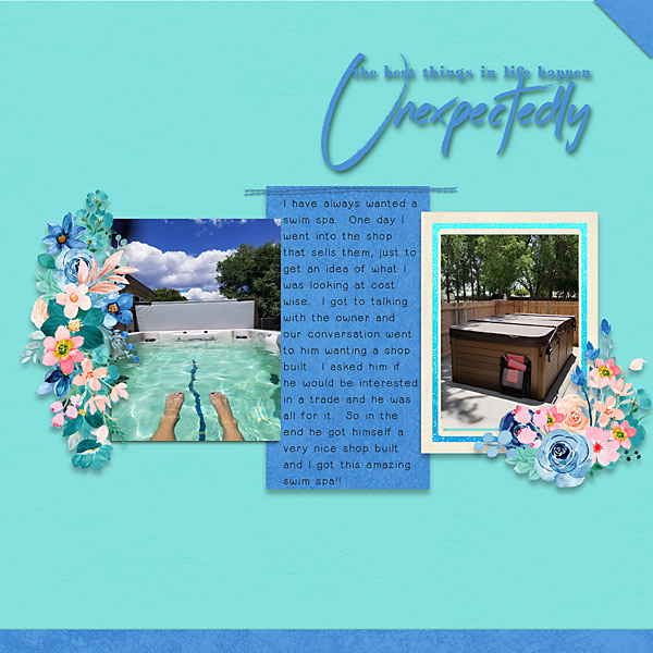 Swim Spa