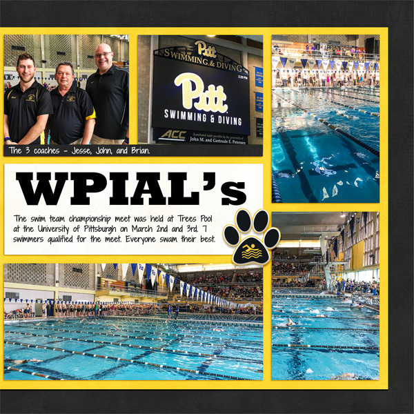 Swim Team Championships, right side