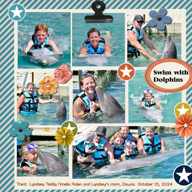 Swim with Dolphins