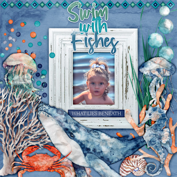 Swim-with-fishes