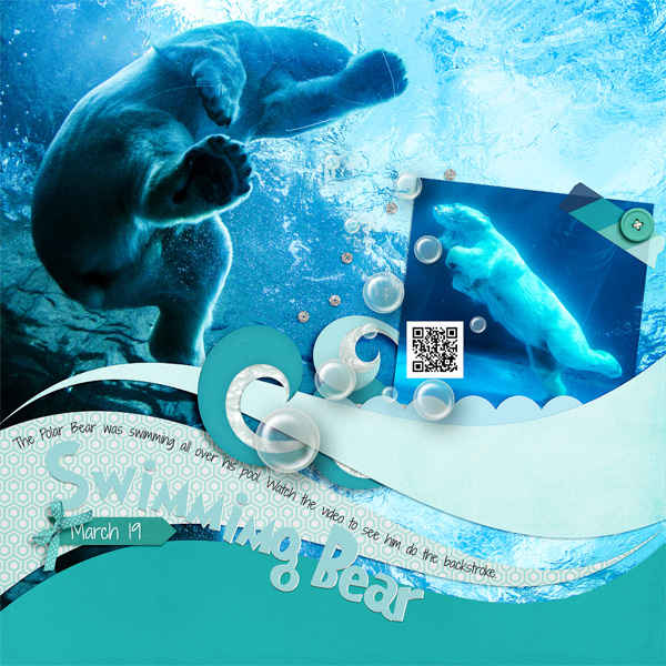 Swimming Bear