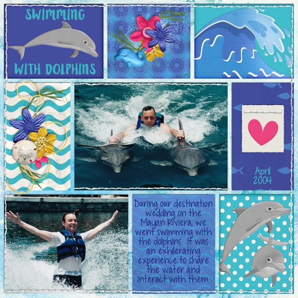 Swimming with Dolphins