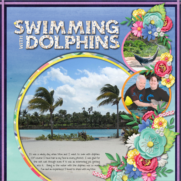 Swimming with Dolphins