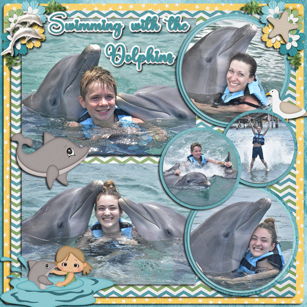 Swimming With Dolphins