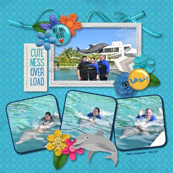 Swimming with the Dolphins- L