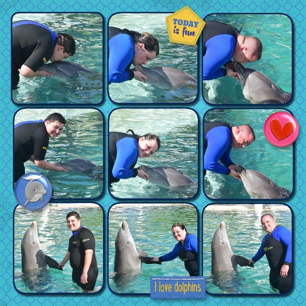 Swimming with the Dolphins- R