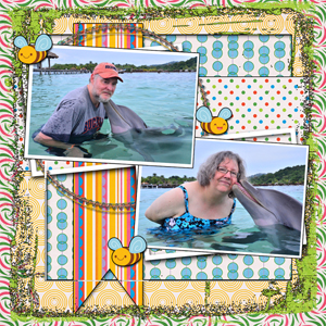 Swimming With The Dolphins