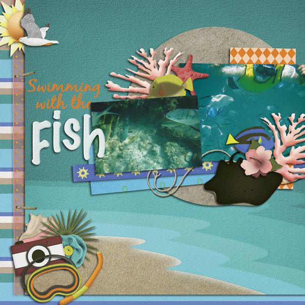 Swimming With The Fish