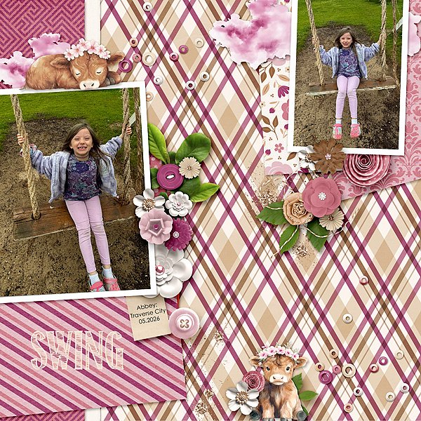 Swing