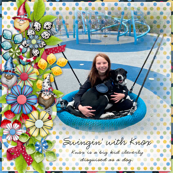Swingin With Knox