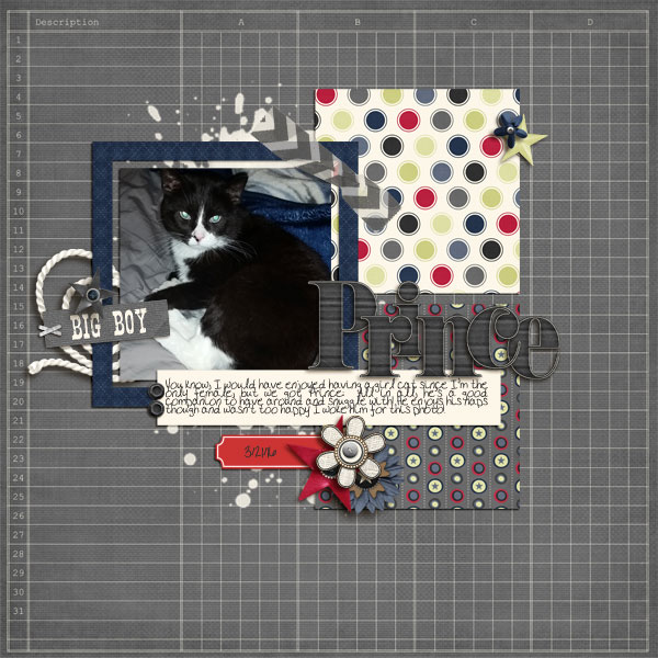 SwL_4_17MIStemp-jss-genuine-boy