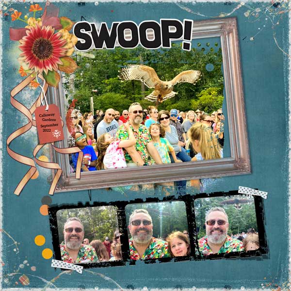 SWOOP!
