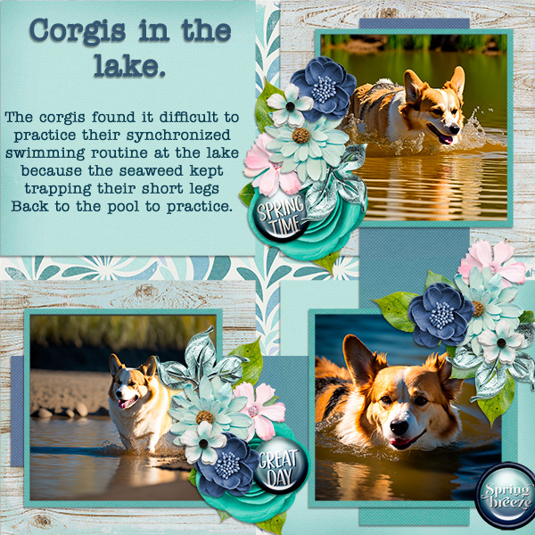Synchronized Corgis