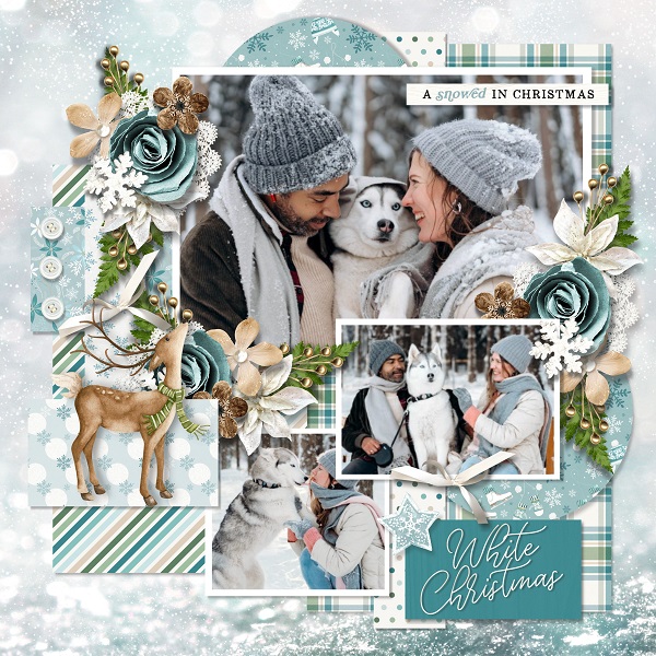 T. All year - january 1