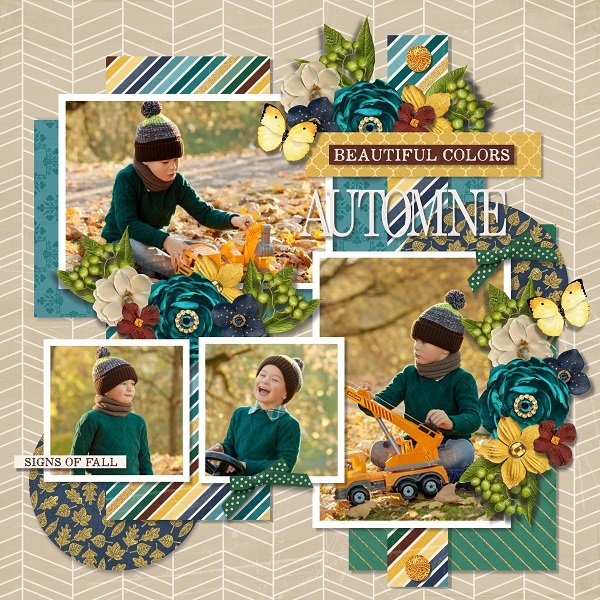 T. All year - october 1