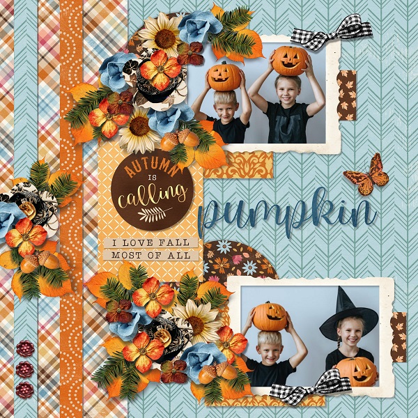 T. Autumn is here 2