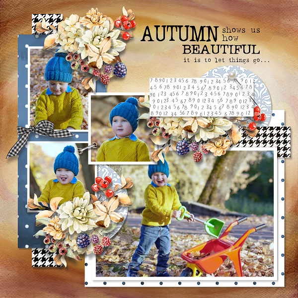 T. Autumn is here 5