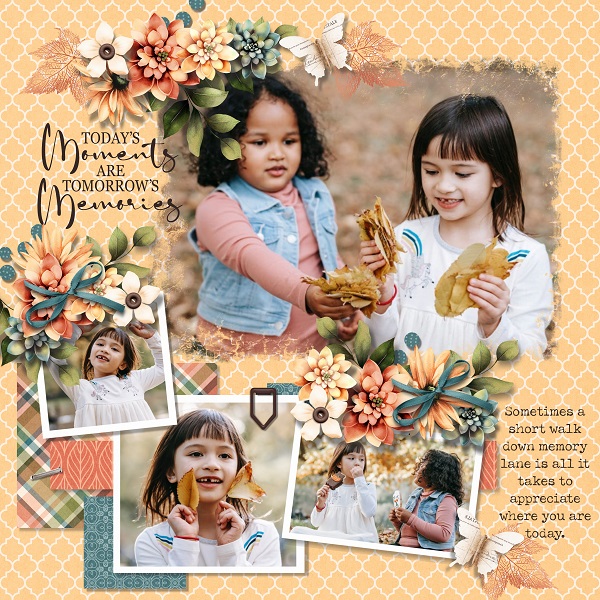 T. Autumn journey 1