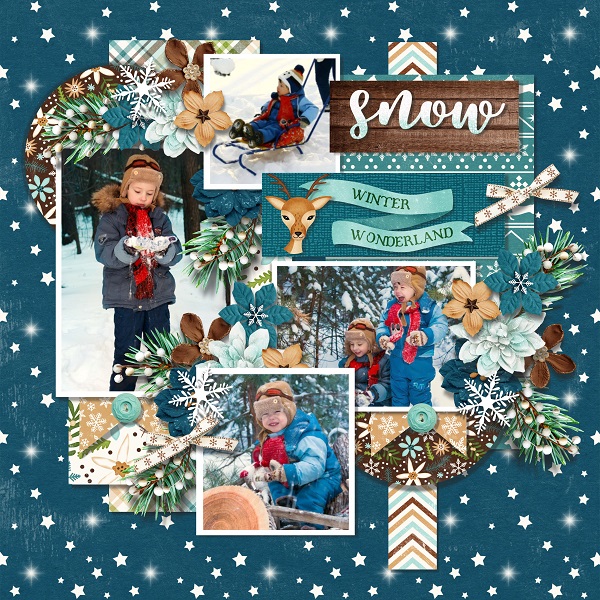 T. December days collection