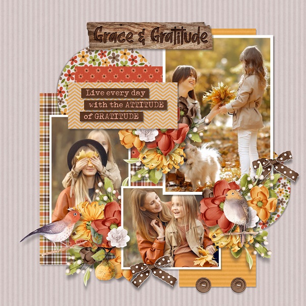 T. December days collection