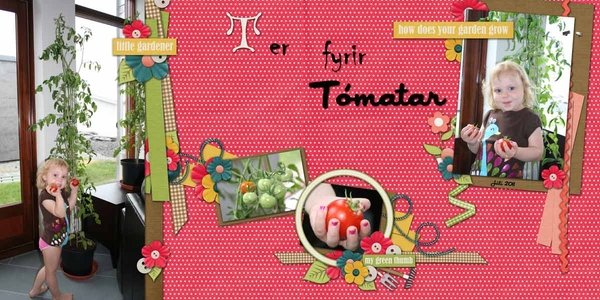 T is for tomatoes