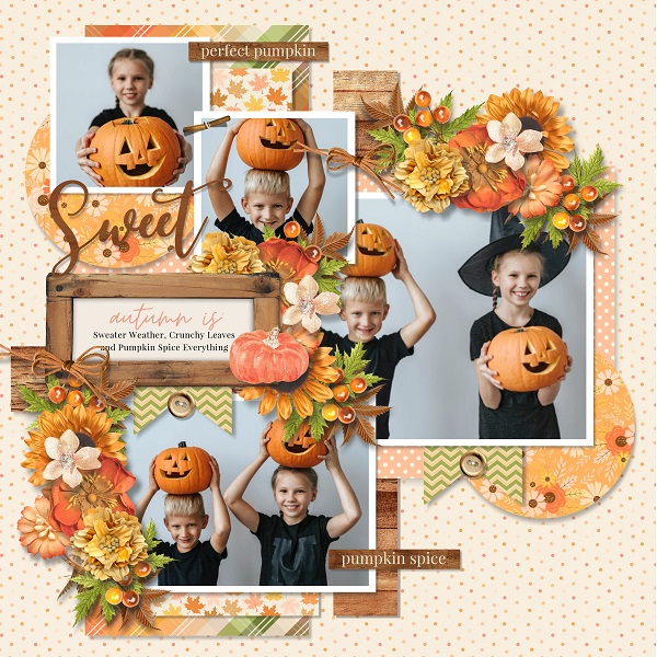 T. November memories