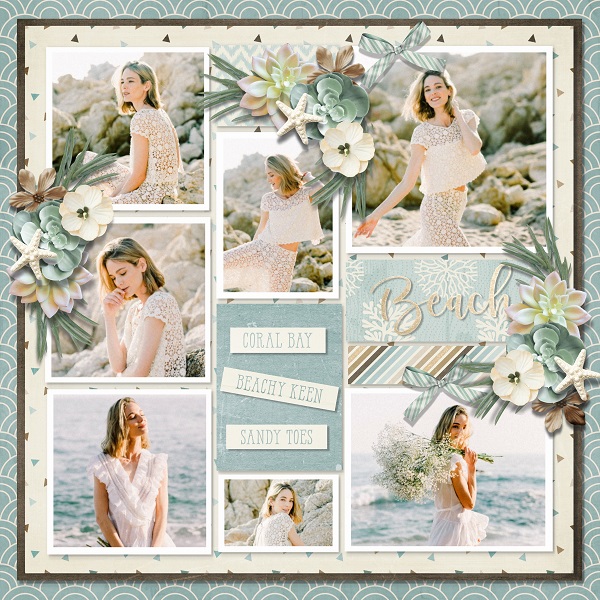 T. Pocket album 17