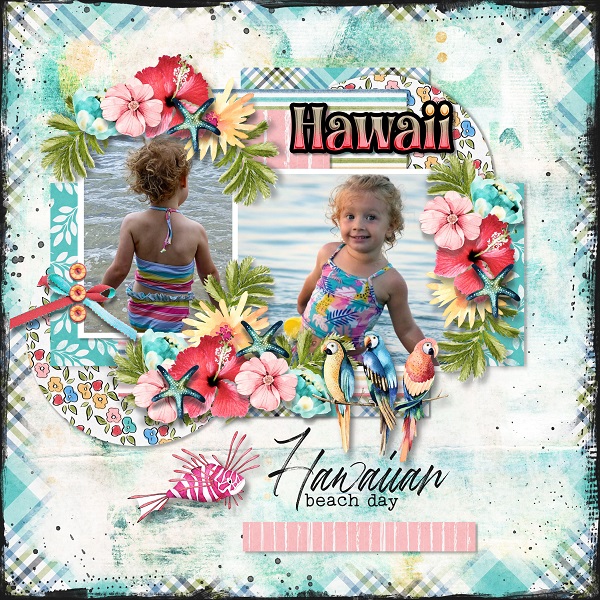 T. Summer holiday 3