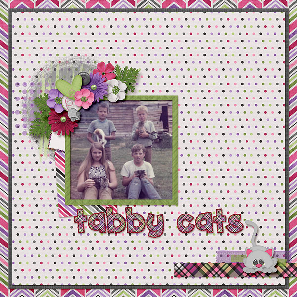 Tabby Cats