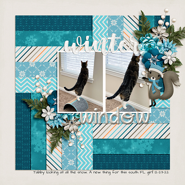 Tabby window