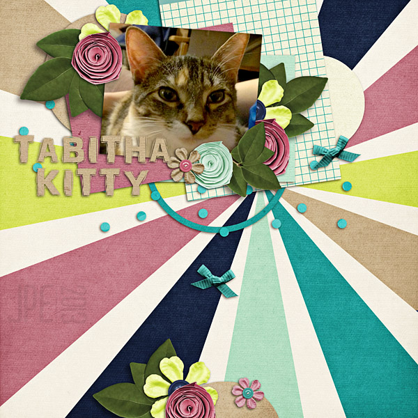 tabitha kitty