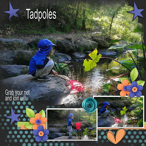 Tadpoles.jpg