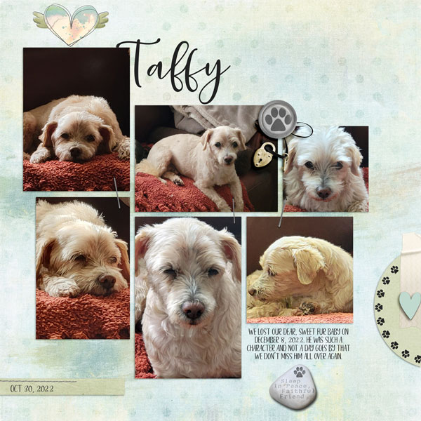 Taffy