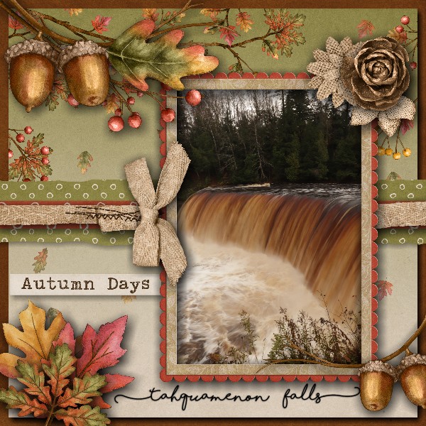 Tahquamenon Falls
