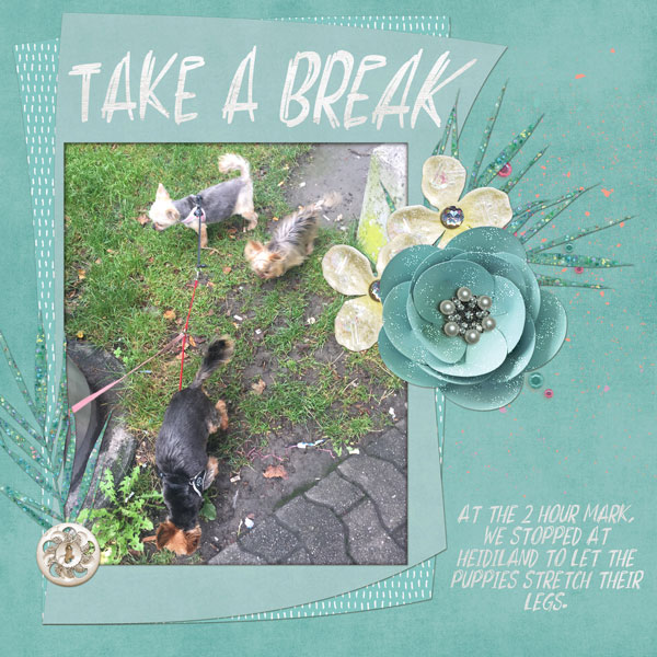 Take a Break | Font Challenge