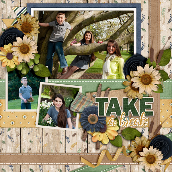 Take-A-Break2
