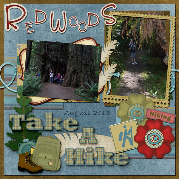 Take a Hike in the Redwoods