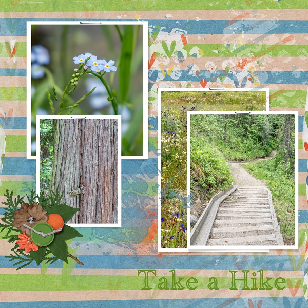 Take a Hike