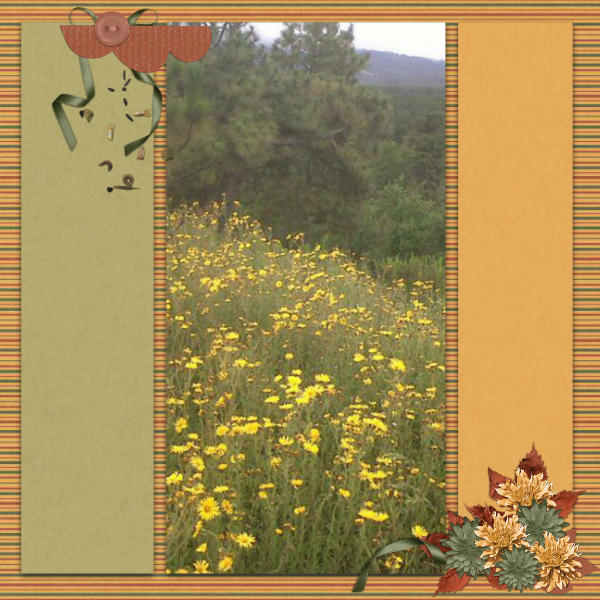Take a walk