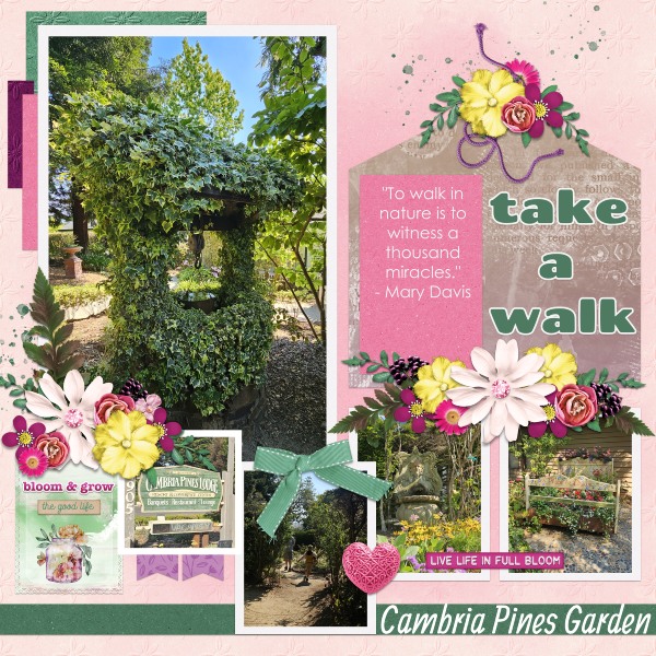 Take A Walk