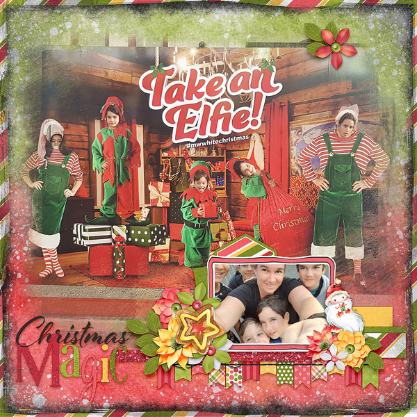 Take an Elfie