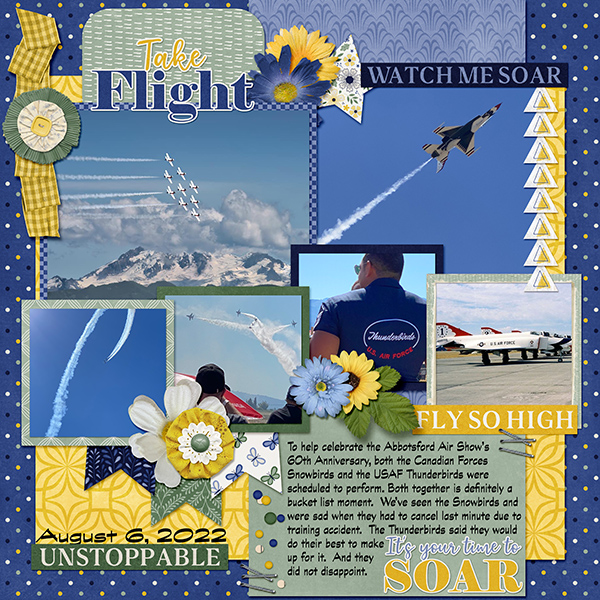 Take Flight - Air Show