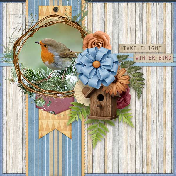 Take Flight Winter Bird