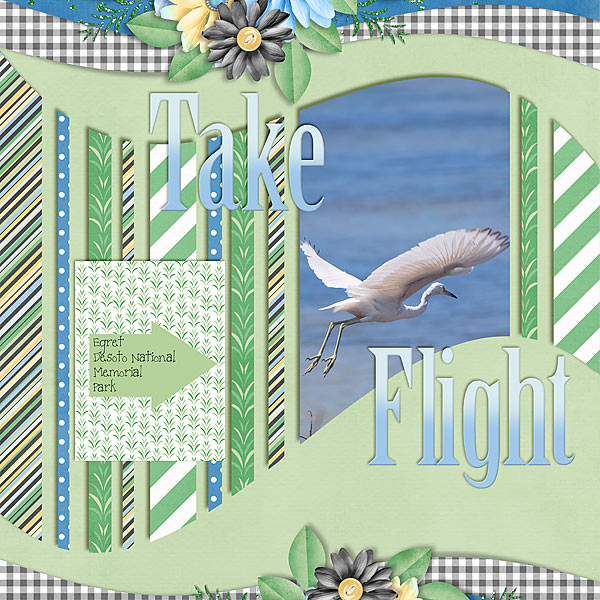 Take Flight