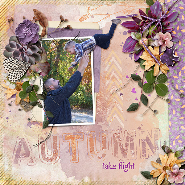 Take Flight