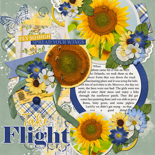 Take Flight!