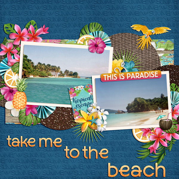 take me to the beach