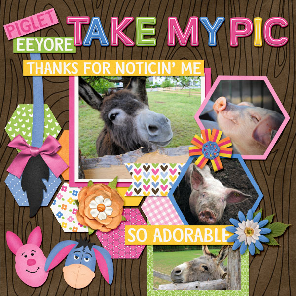 Take My Pic