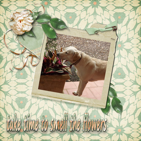 take time to smell the flowers
