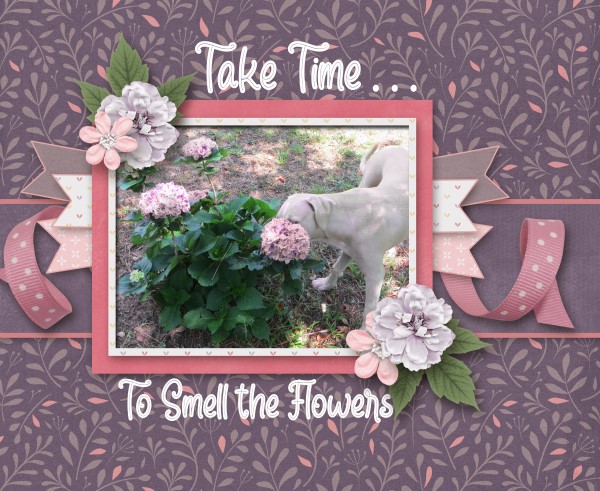 Take Time to Smell The Flowers